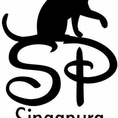 logo-singapura-partners-1.jpg